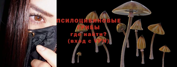 spice Кулебаки