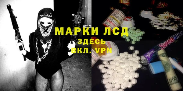 гидра Корсаков