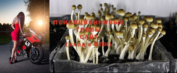 jwh Кукмор