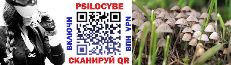 что такое наркотик  Лысьва  Галлюциногенные грибы Psilocybe 